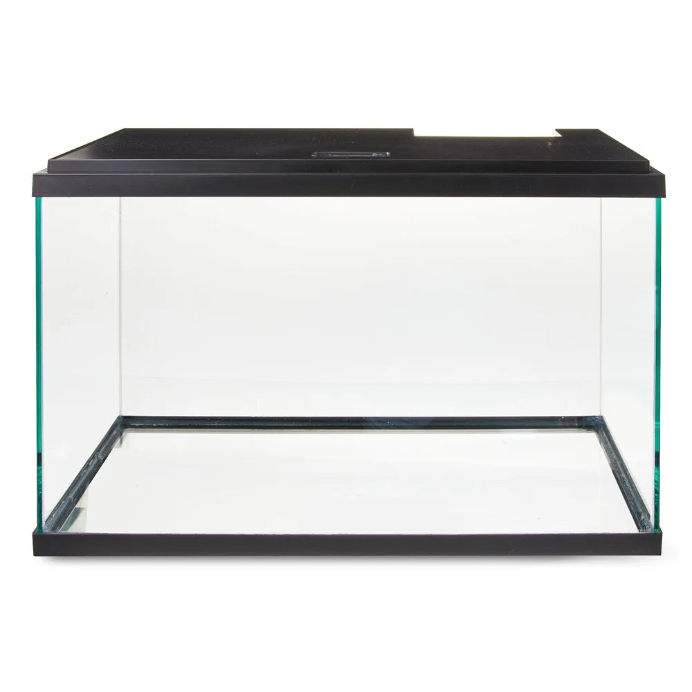 10 Gallon Aquarium Starter Kit