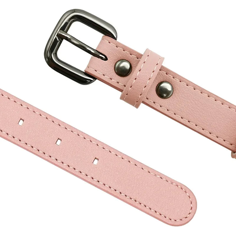 Apple Airtag Leather Pet Collar for Puppy