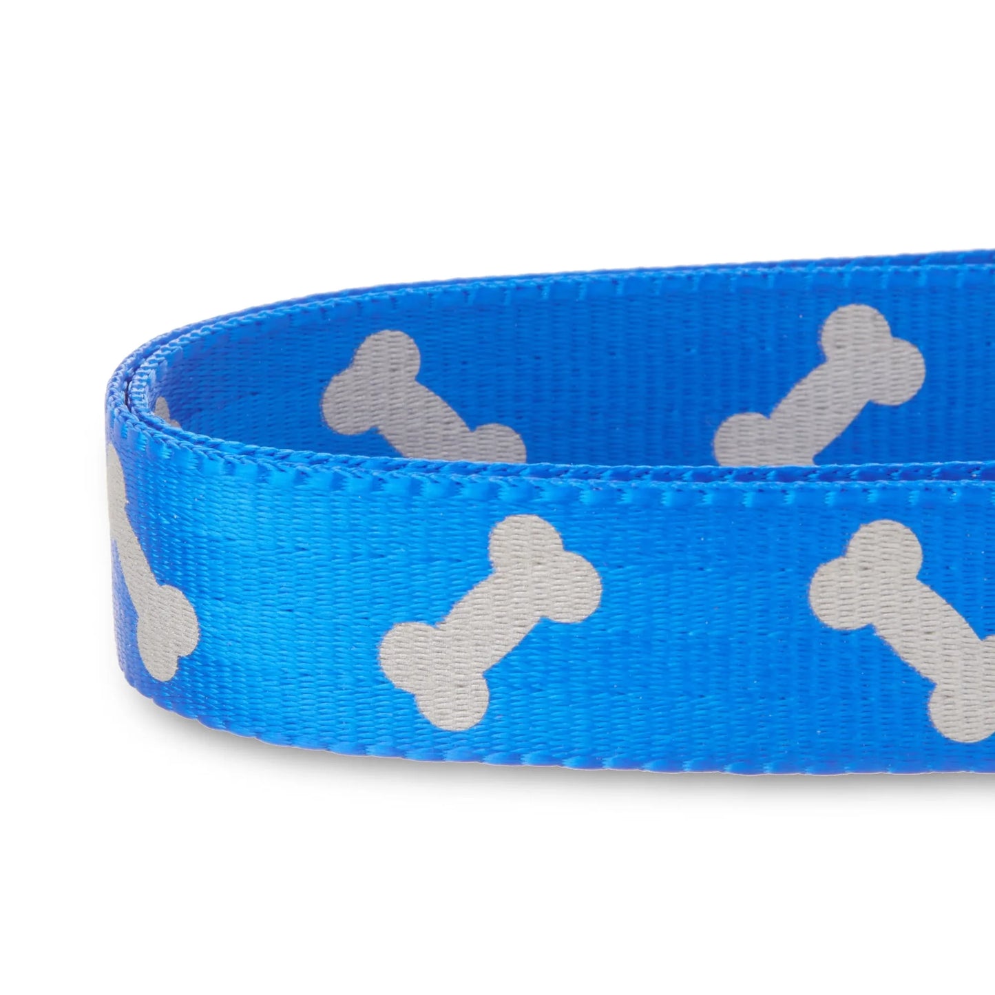 Reflective Adjustable Dog Collar, Blue, Large