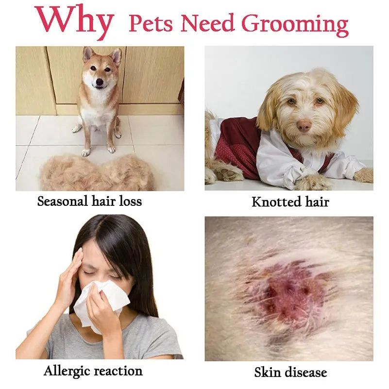 Pet Hair Remover Shedding Brush & Fur Knot Cutter