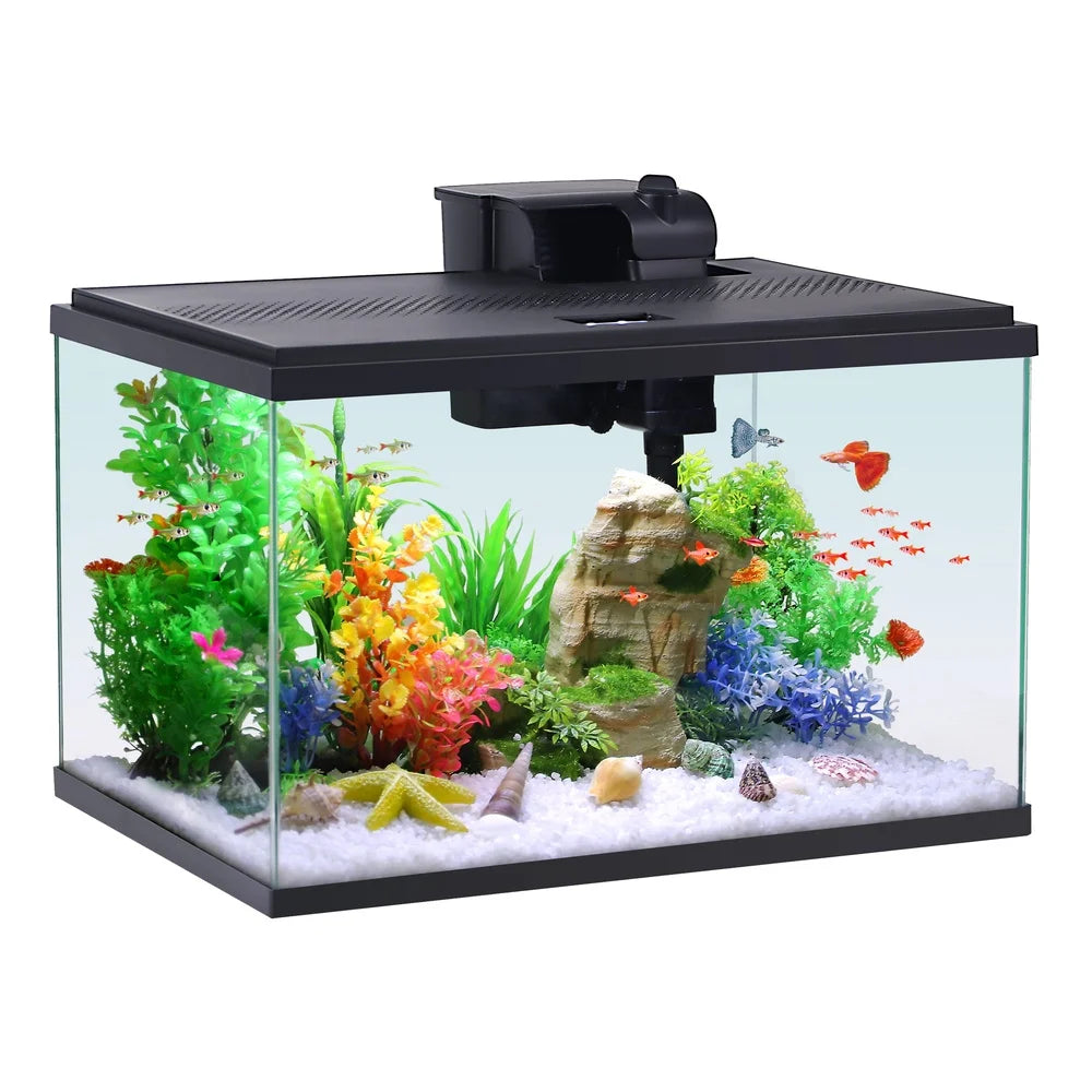 10 Gallon Aquarium Starter Kit