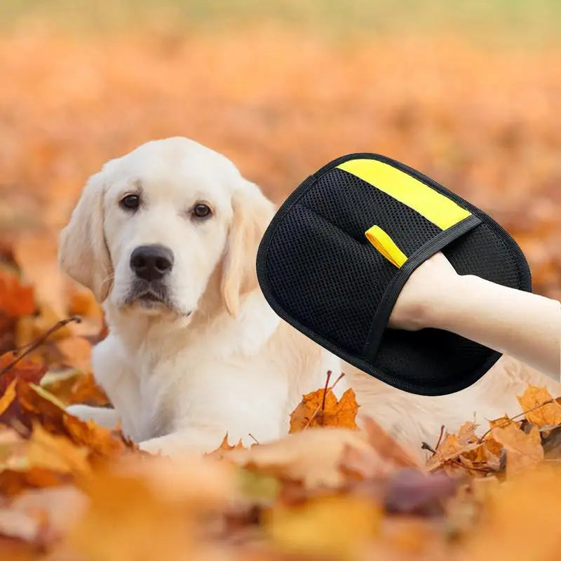 Double-Sided Pet Hair Remover Mitt