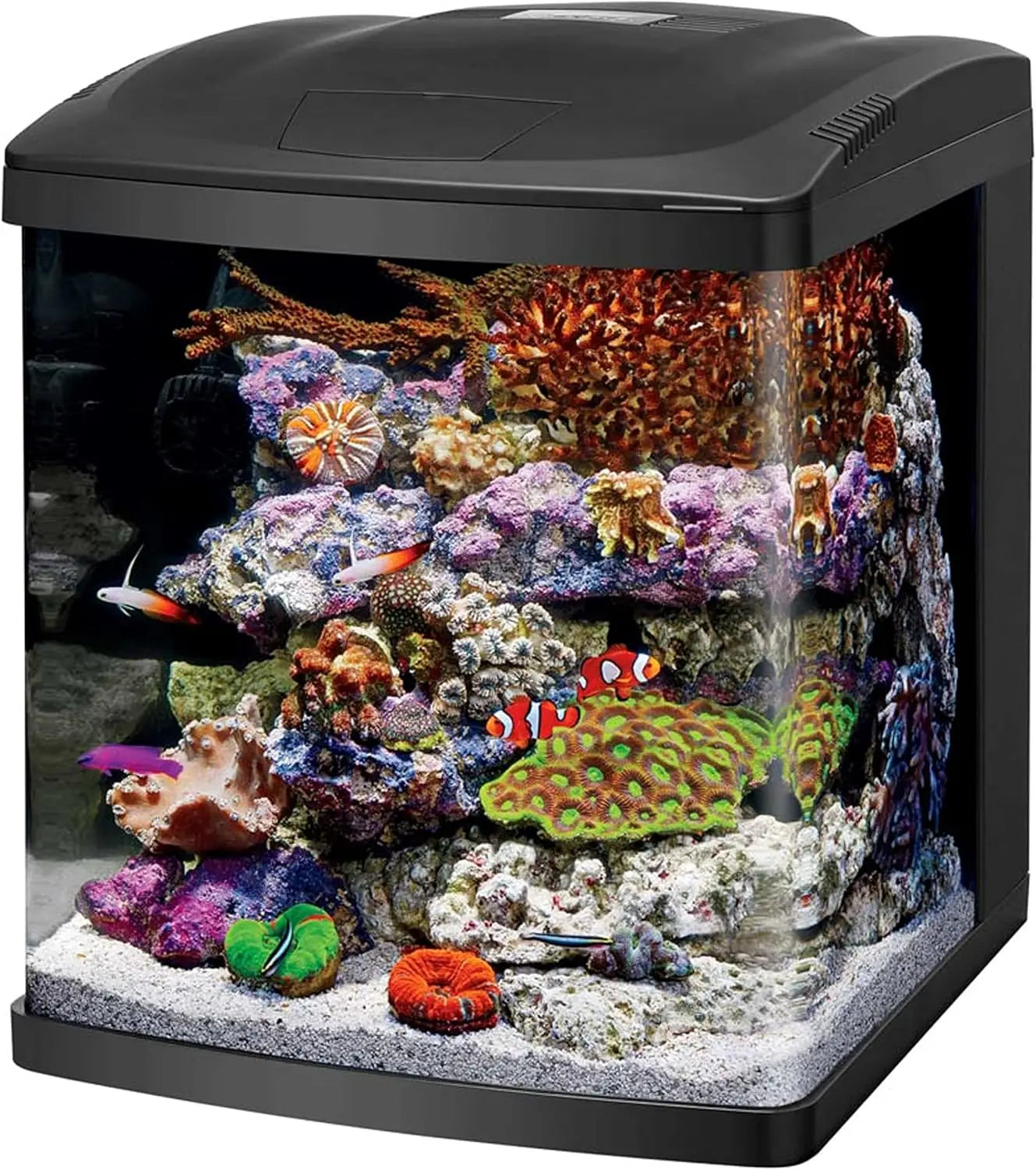 LED Aquarium Fish Tank Kit for Saltwater, 32 Gallon