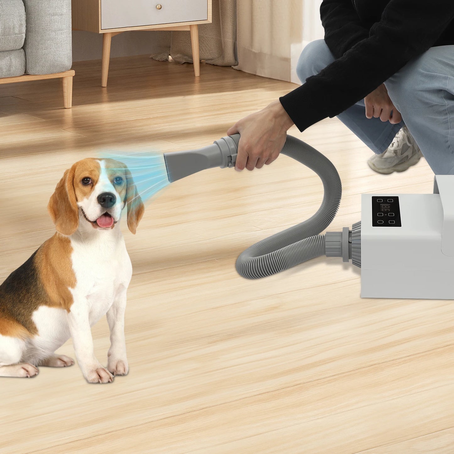 Portable Pet Hair Dryer, 1900W