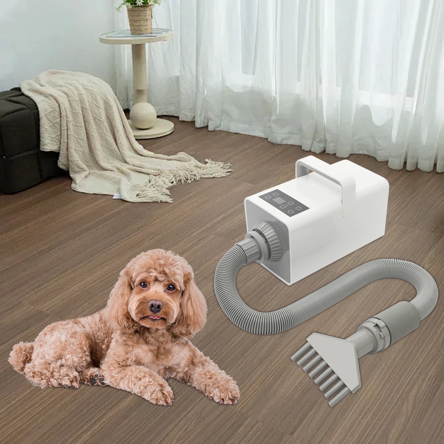Portable Pet Hair Dryer, 1900W