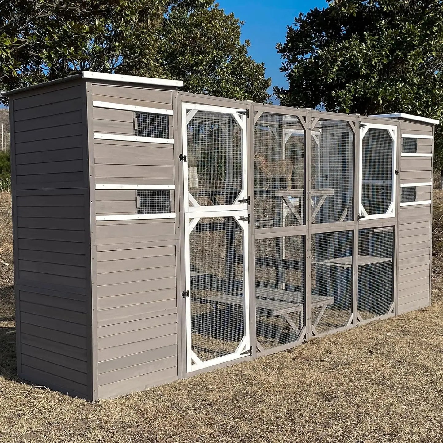 Large Cat House