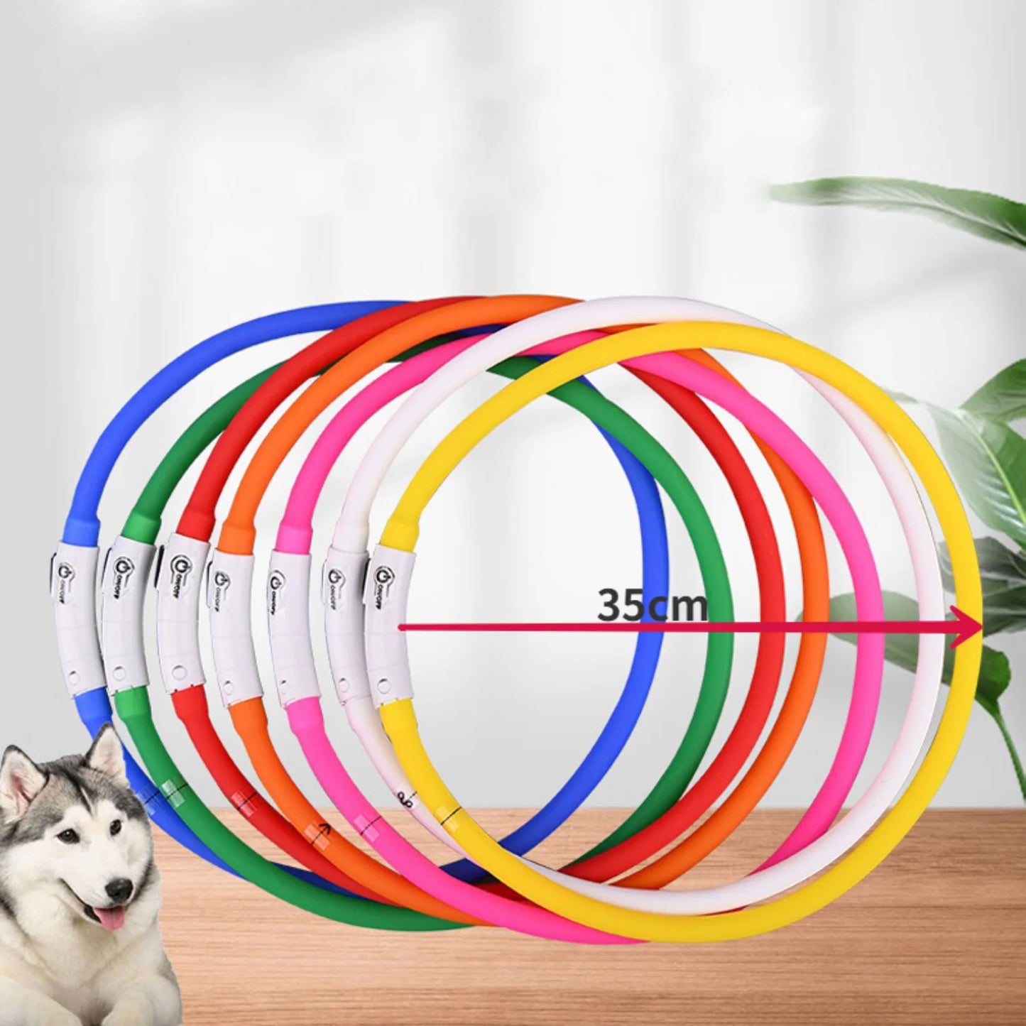 Rechargeable LED Light Dog Collar; Waterproof