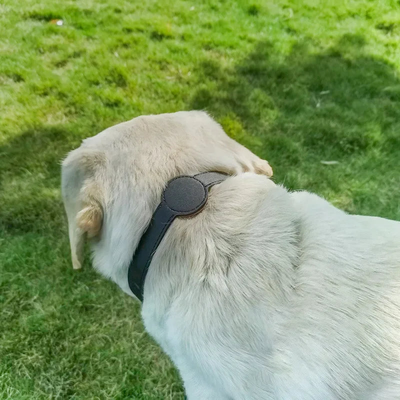 Apple Airtag Leather Pet Collar for Puppy