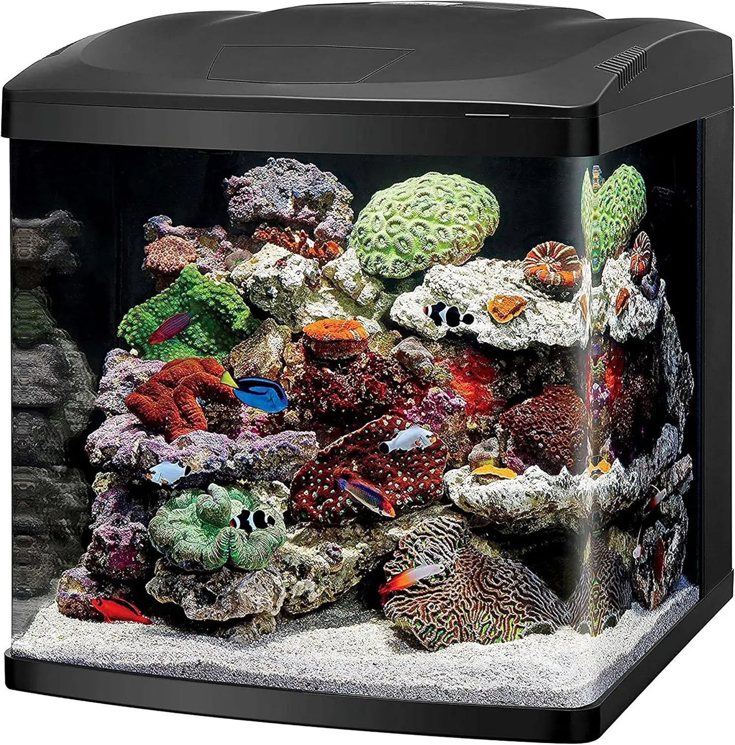 LED Aquarium Fish Tank Kit for Saltwater, 32 Gallon