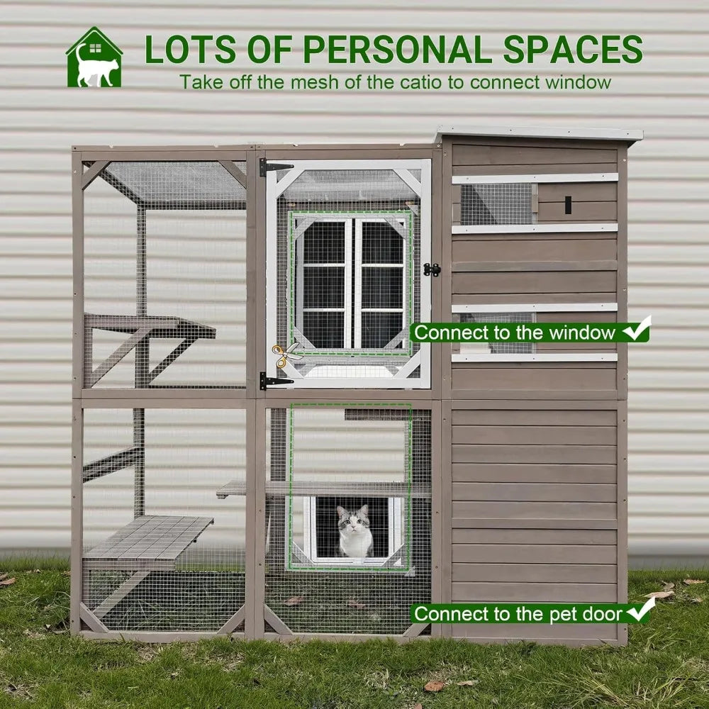 Large Cat House