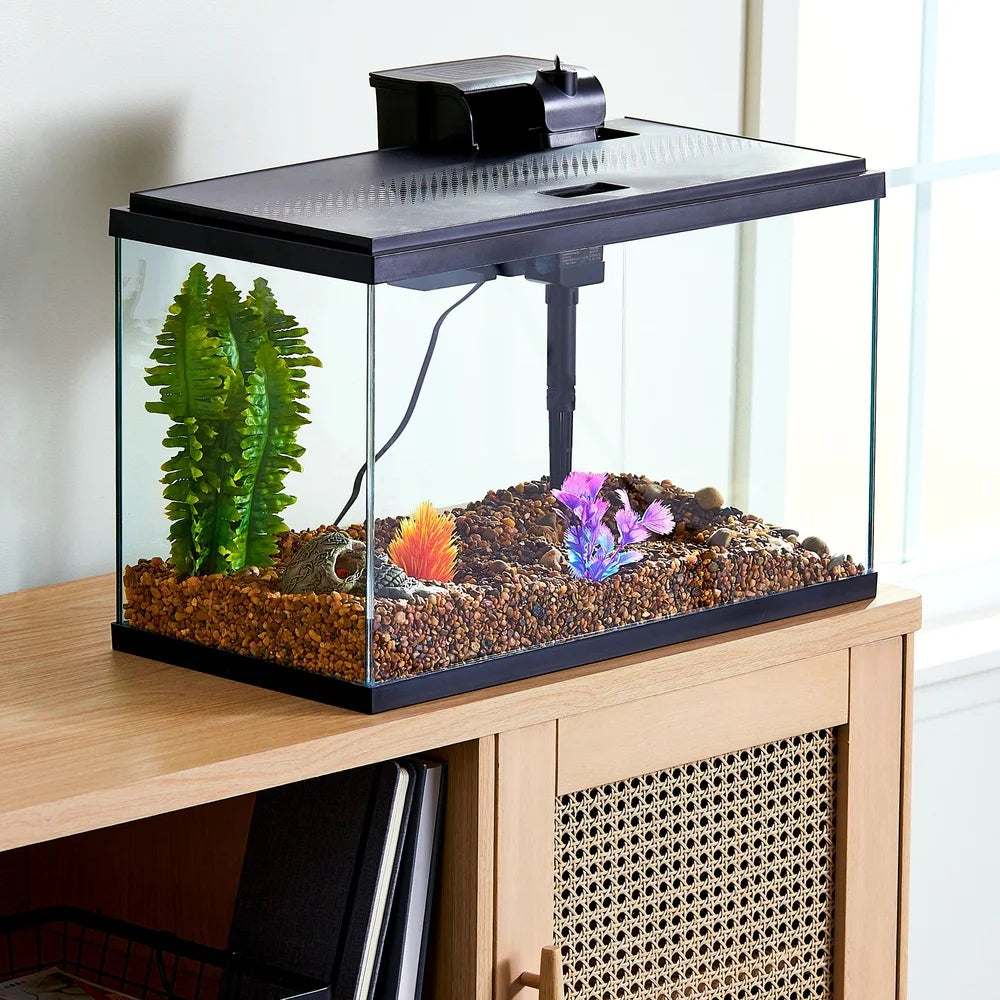 10 Gallon Aquarium Starter Kit